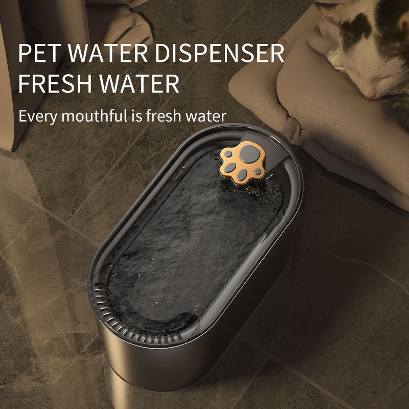 Illuminated Pet Hydration