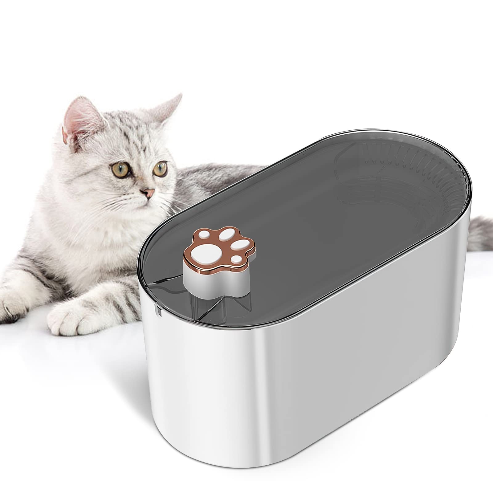 Filtered Cat Water Dish