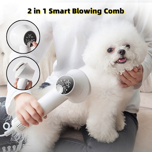 2 in 1 smart blowing comb